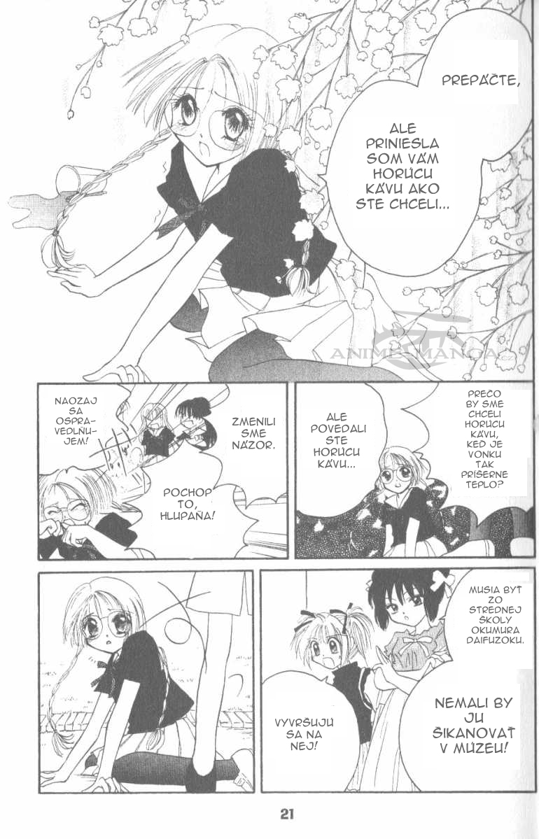 Tokyo Mew Mew 13.jpg